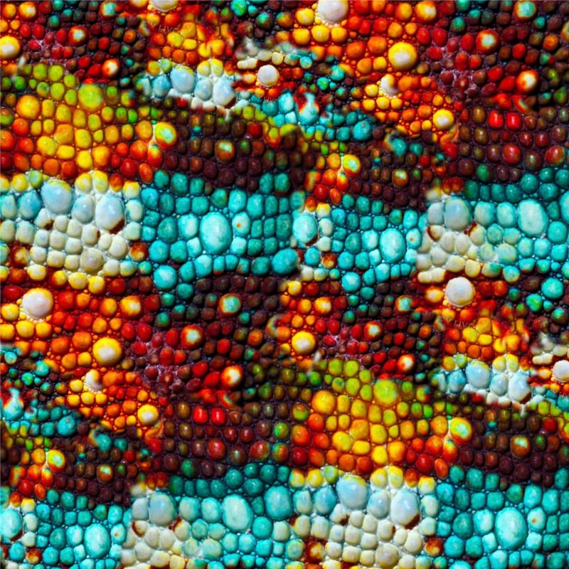 Чешуя хамелеона