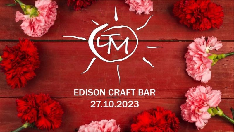 Гвоздики цветы