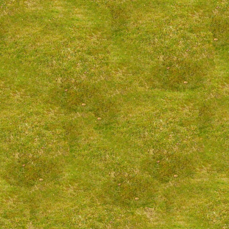 Трава сверху