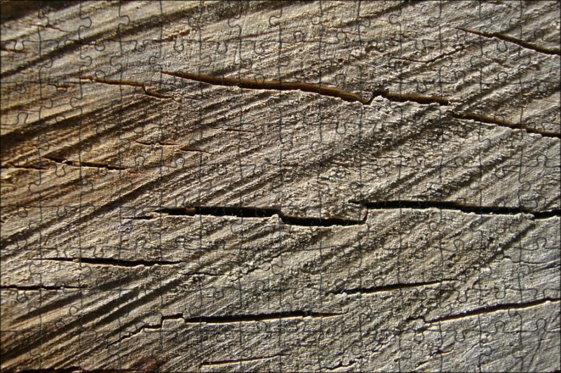 Древесные текстуры высокого разрешения