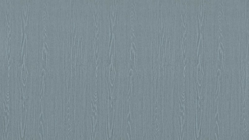 Адилет Рейн AW 020