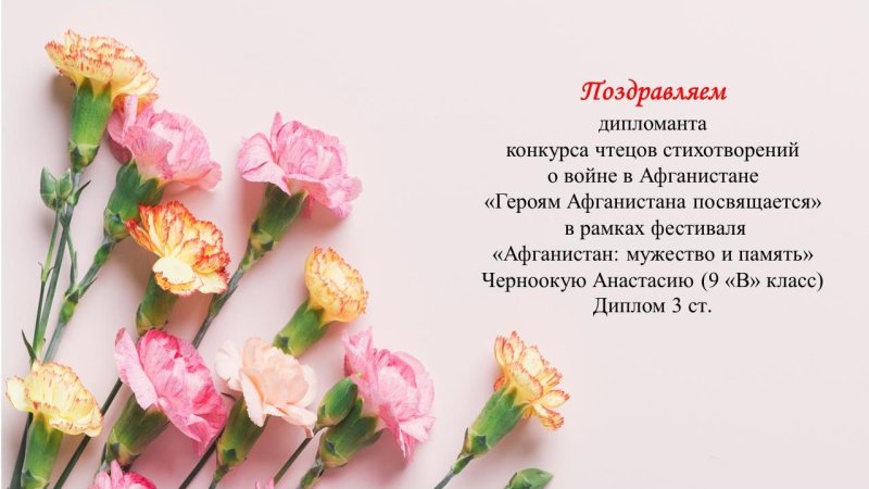 Гвоздики фон