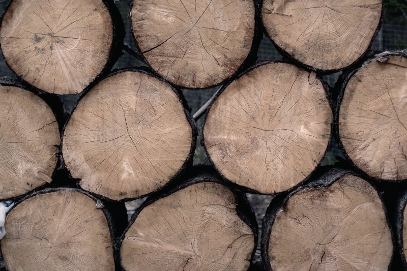 Срез бревна