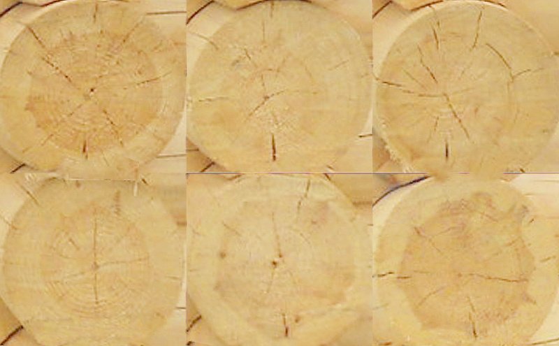 Срез бревна