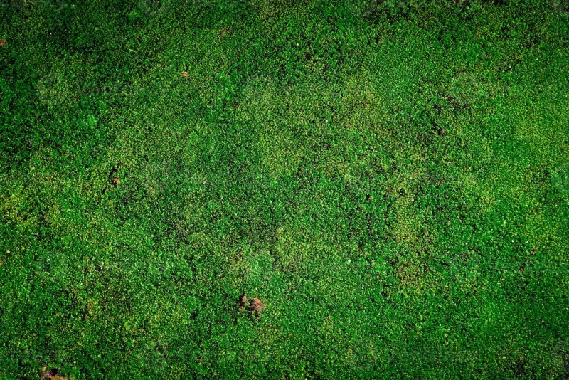 Текстура земли для Юнити