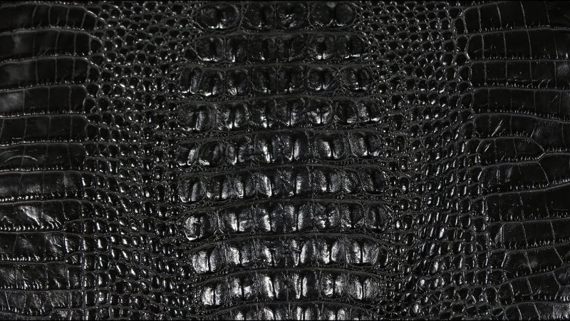 Кожа крокодила седло Triumph