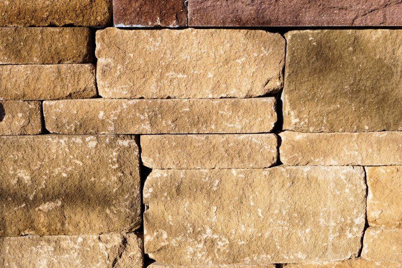 Песчаник ракушечник