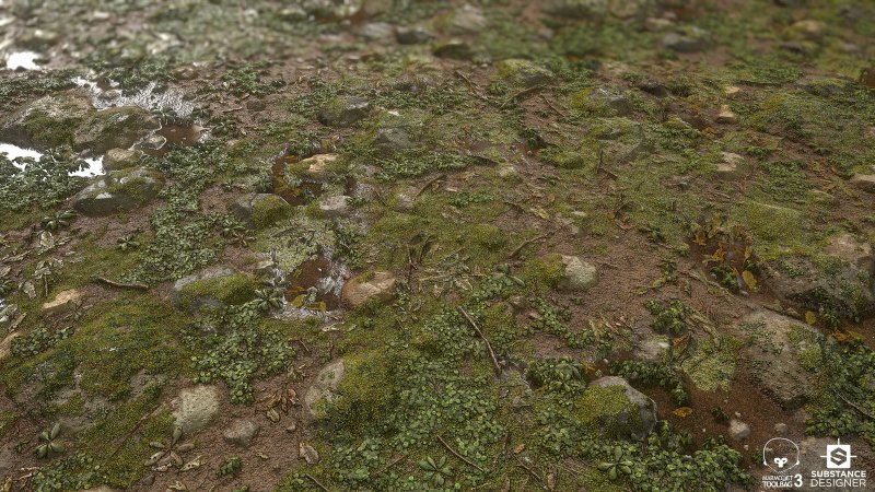 Текстура болотного мха