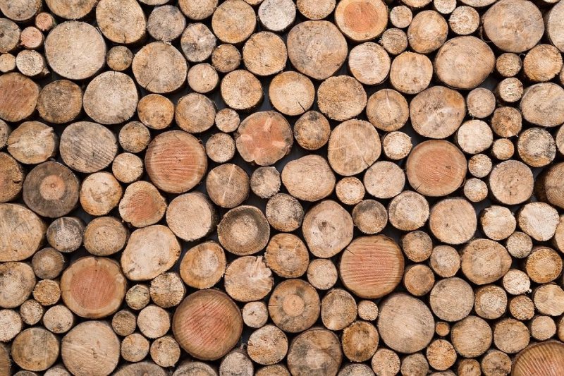 Спил бревна