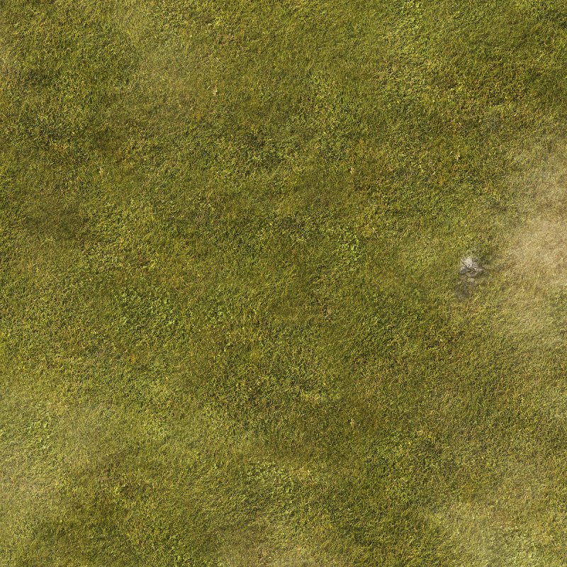 Текстура болота