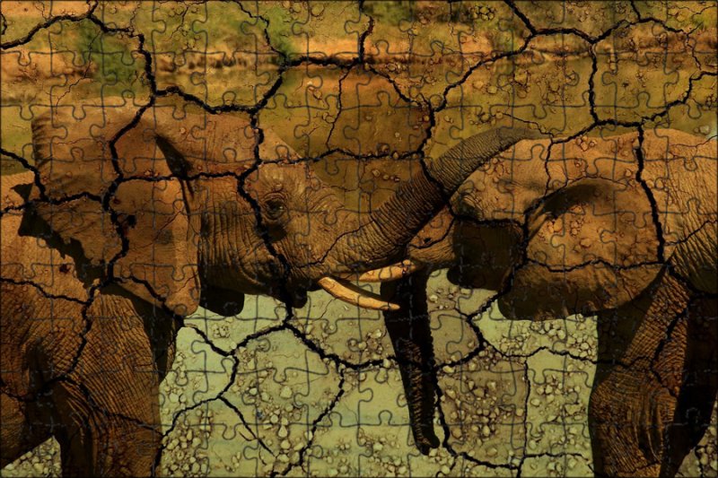 Текстура Африка