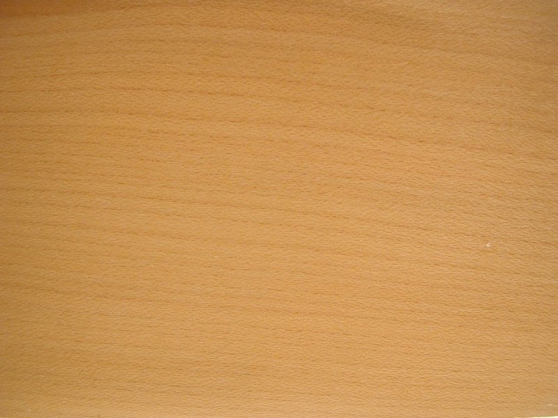 Текстура древесины бука