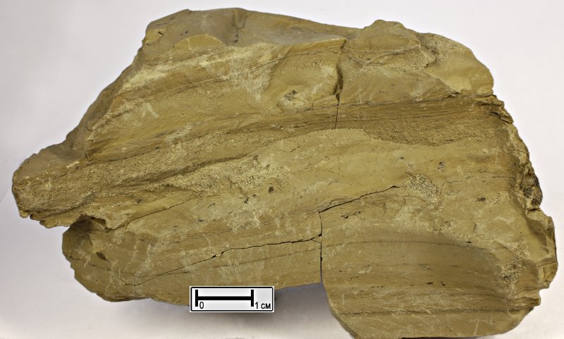 Мергель алевритовый