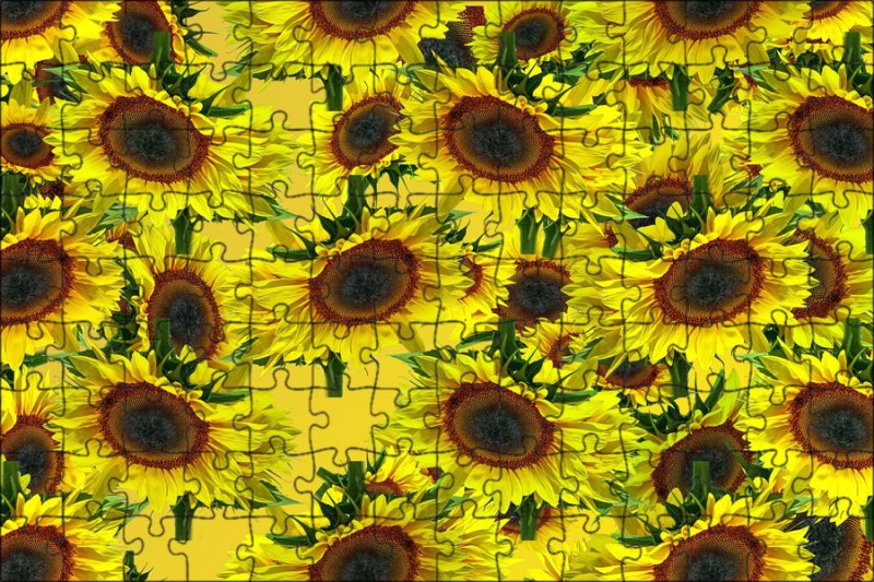 Стилизованные Подсолнухи