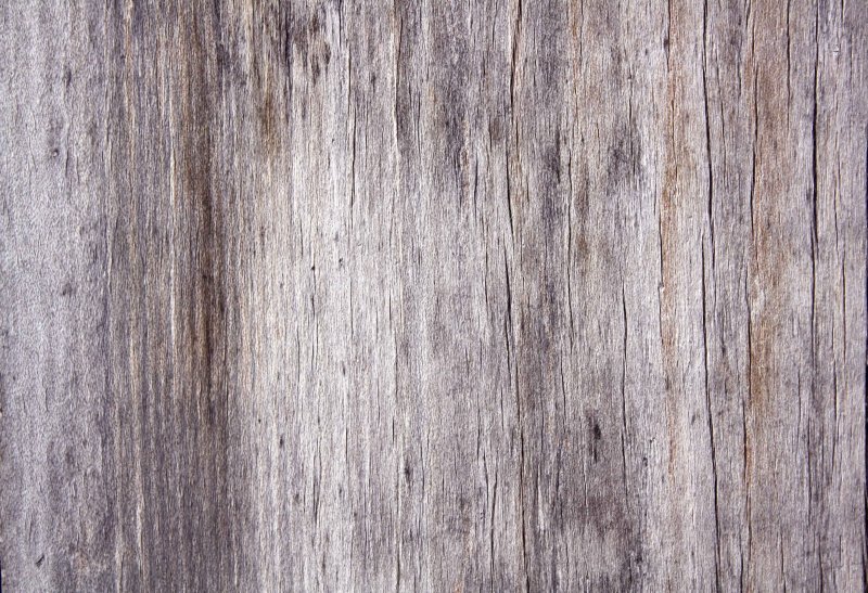 Фактура дерева