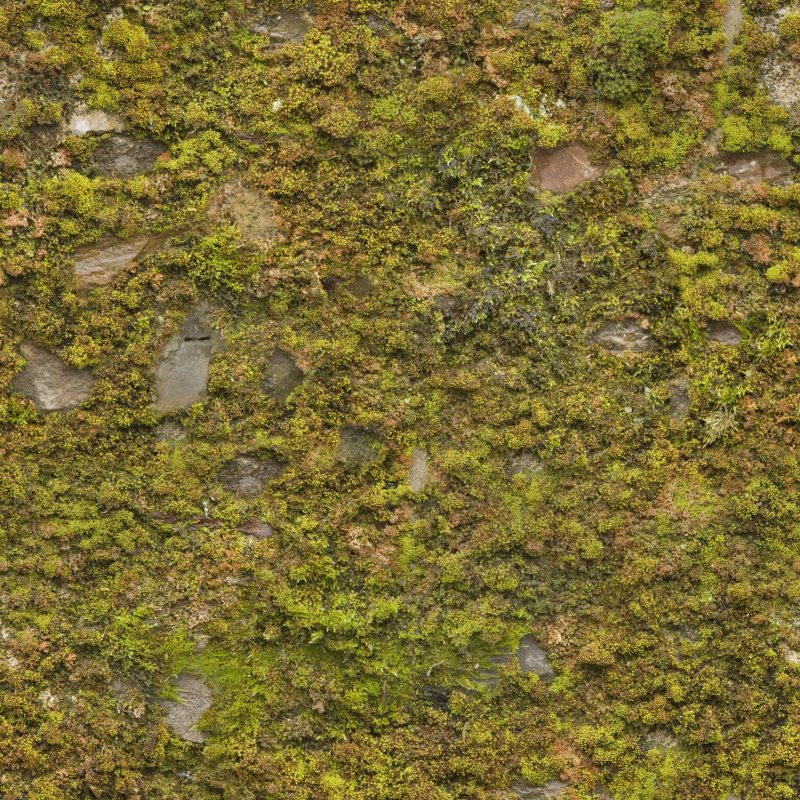Текстура камня с мхом