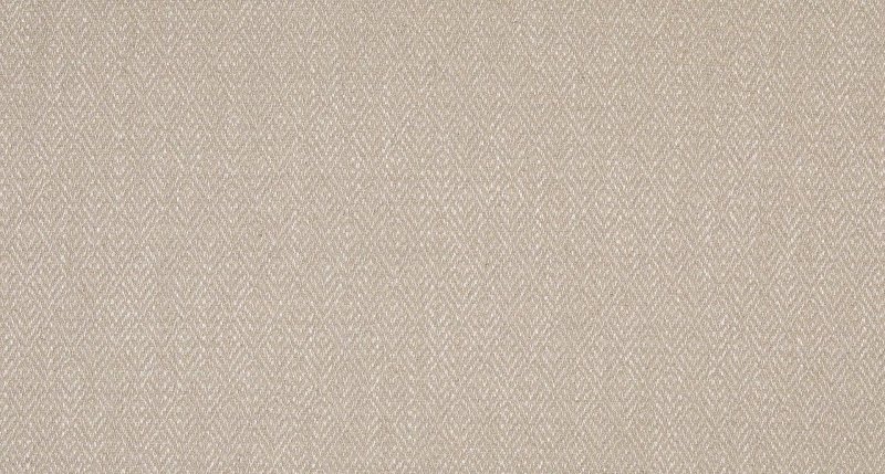 Ткань Carboni Placida