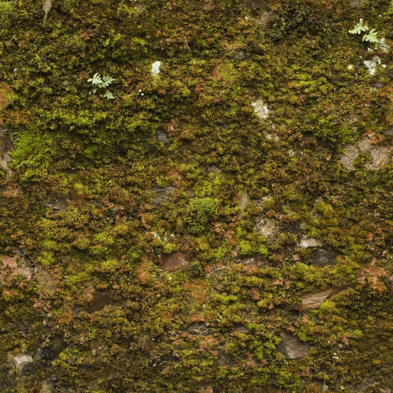 Текстура камня с мхом