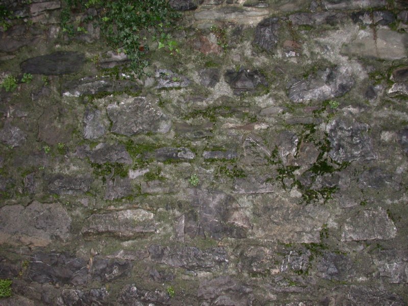 Текстура камня с мхом