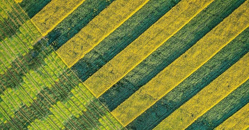 Текстура поля