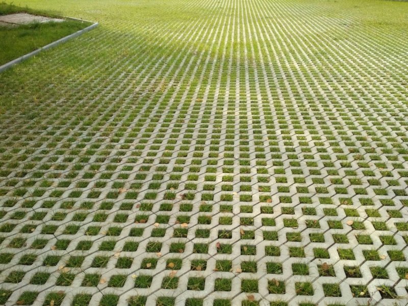 Экопарковка газонная решетка