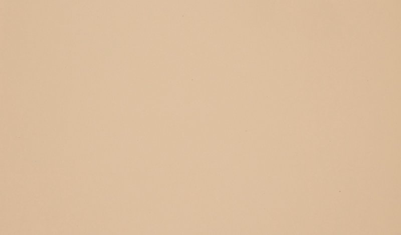 Бежевый однотонный