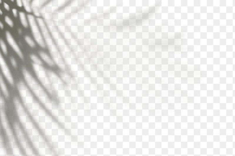 Тень от листьев без фона