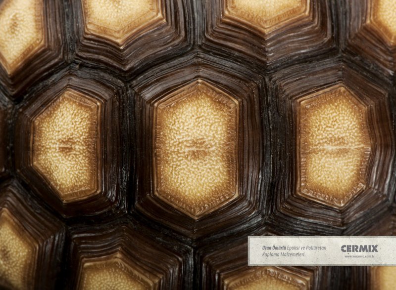 Черепаший панцирь текстура