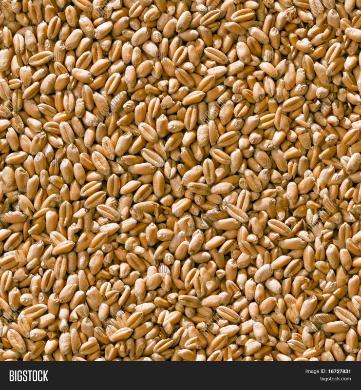 Текстура зерно