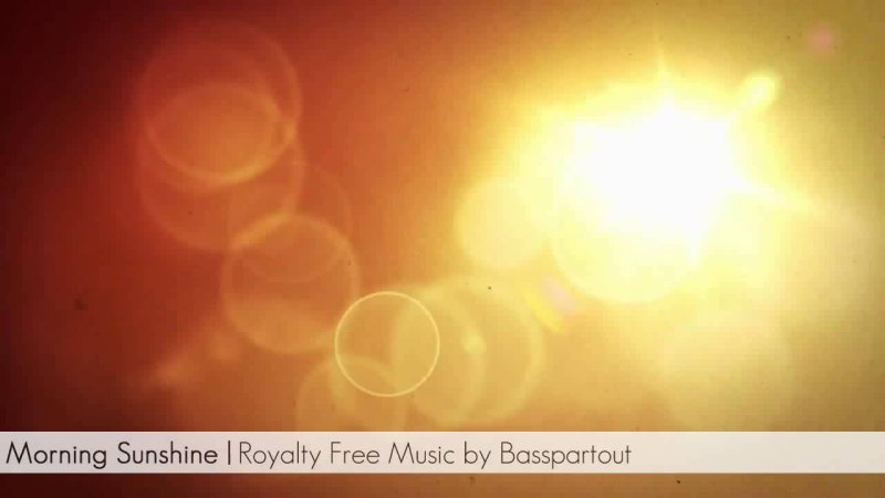 Солнечные блики