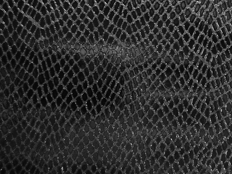 Чешуя Блэк мамбы