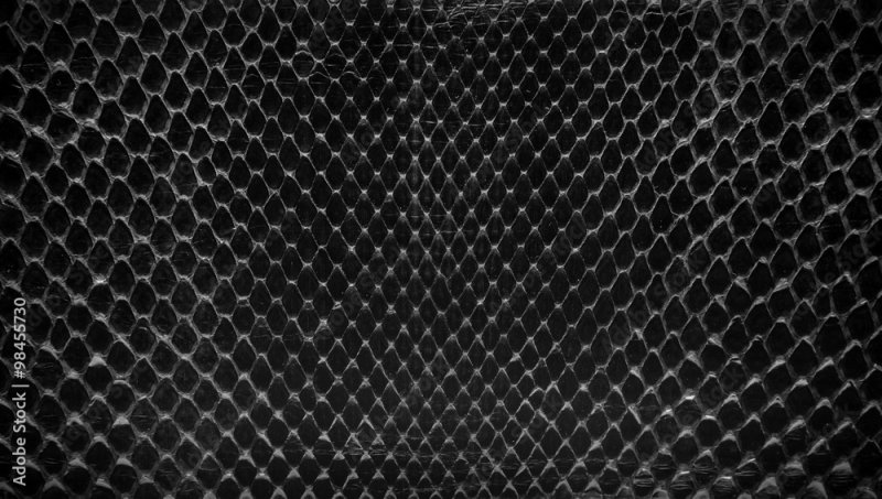 Чешуя Блэк мамбы