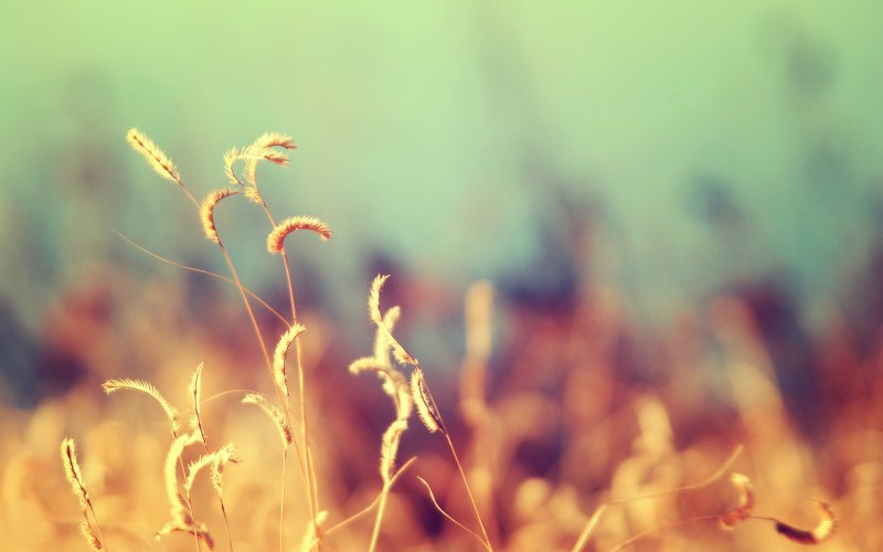 Размытый фон