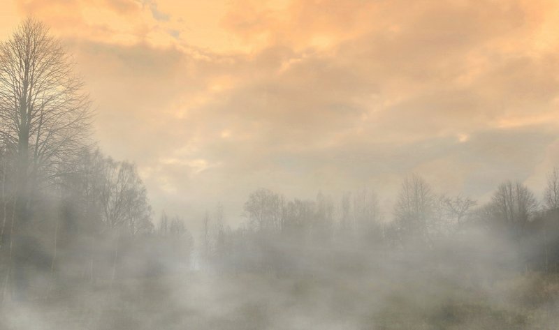 Туманный фон