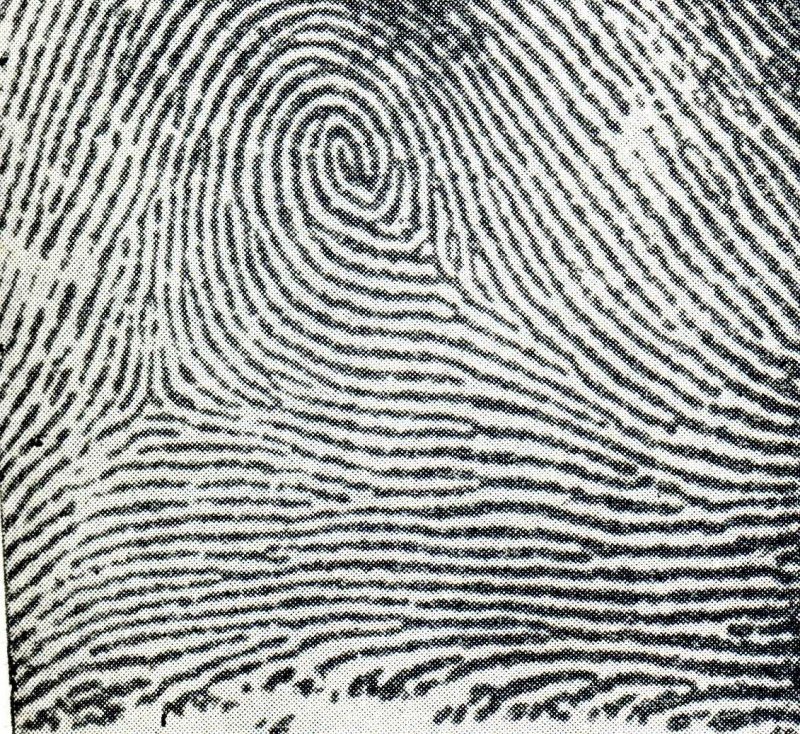 Карта отпечатков пальцев 3д Макс