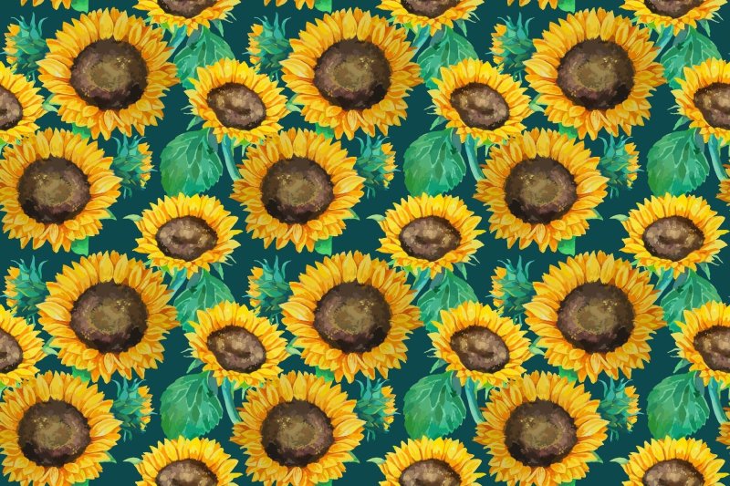 Фактура подсолнух