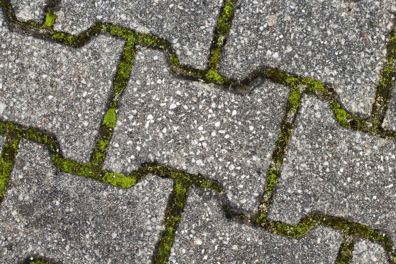 Асфальт бесшовный