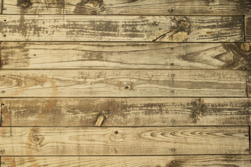 Фактура дерева