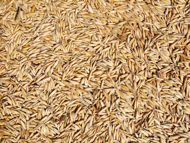 Эффект зерна