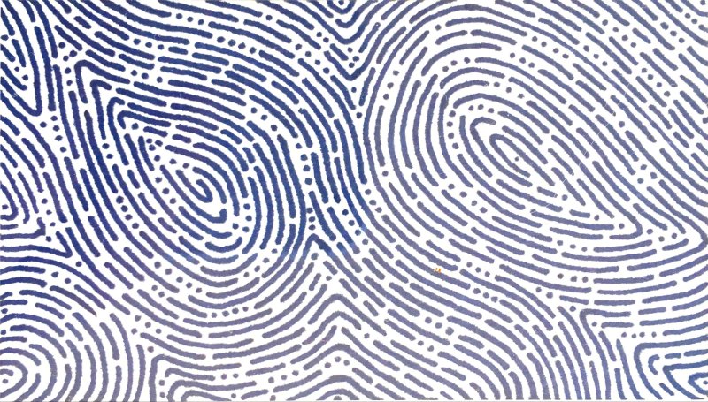 Отпечаток пальца