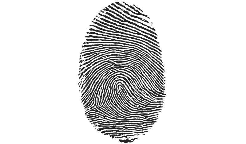 Отпечаток пальца