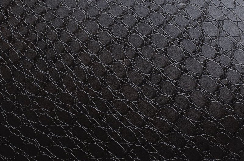 Черная змеиная кожа
