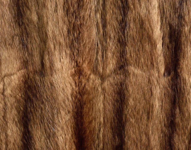 Мех норки текстура