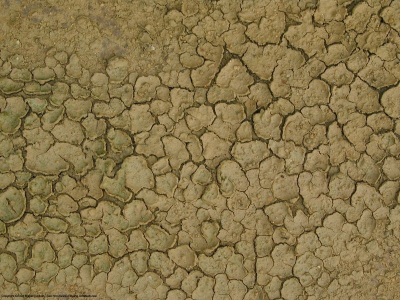 Стилизованные текстуры земли