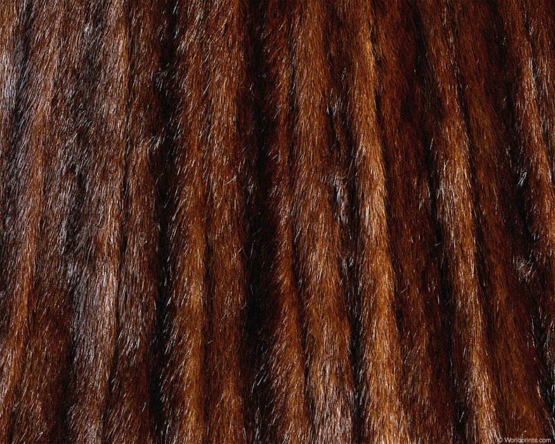 Мех норки текстура