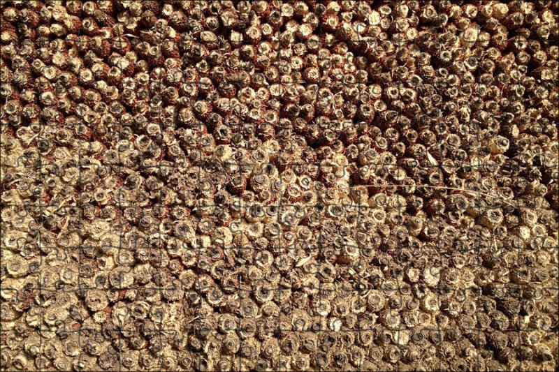 Текстура зерно