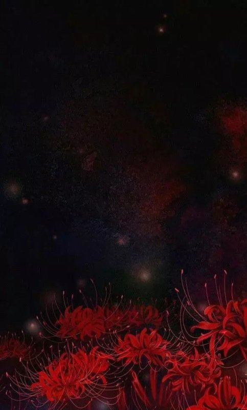 Хиганбана ликорис