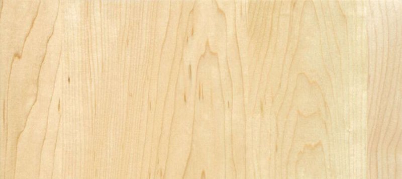 Липа фактура древесины