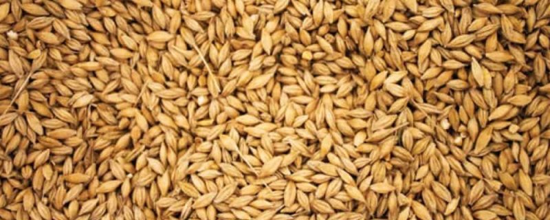 Эффект зерна