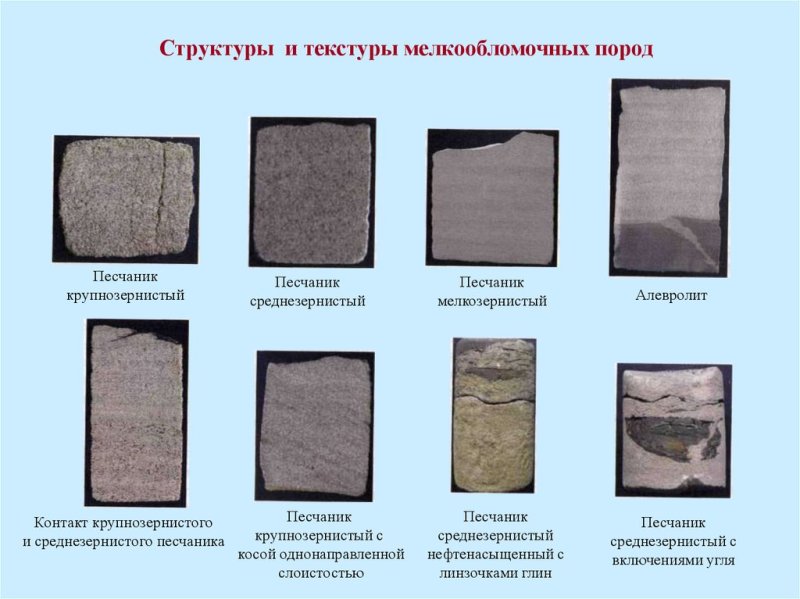 Алевролит структура и текстура